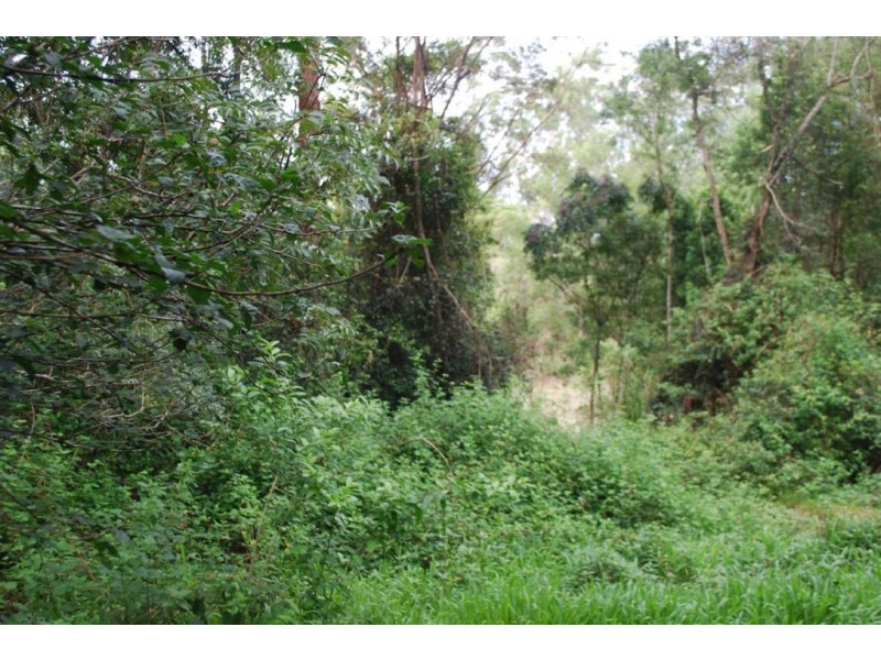Nimbin NSW 2480