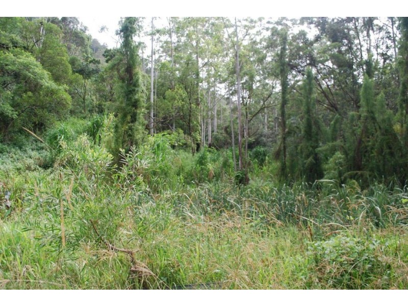 Nimbin NSW 2480