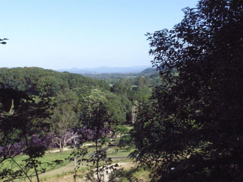 316 Dungay Creek Road, Dungay NSW 2484