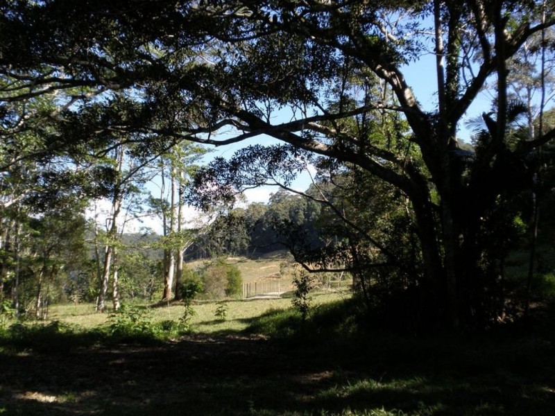 316 Dungay Creek Road, Dungay NSW 2484