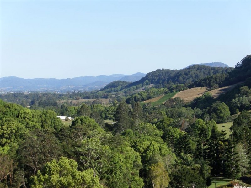 316 Dungay Creek Road, Dungay NSW 2484