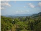 316 Dungay Creek Road, Dungay NSW 2484