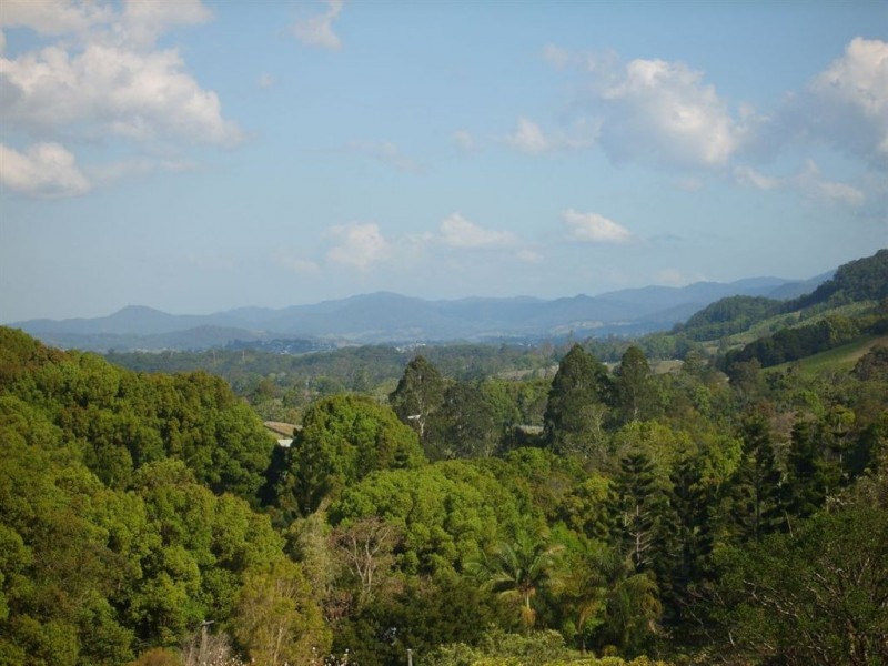 316 Dungay Creek Road, Dungay NSW 2484