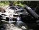 Eungella NSW 2484