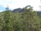 Eungella NSW 2484