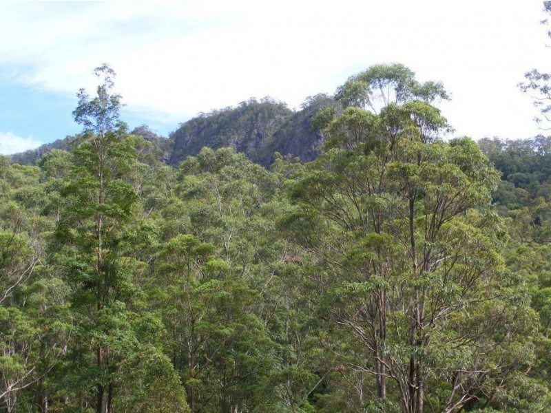Eungella NSW 2484