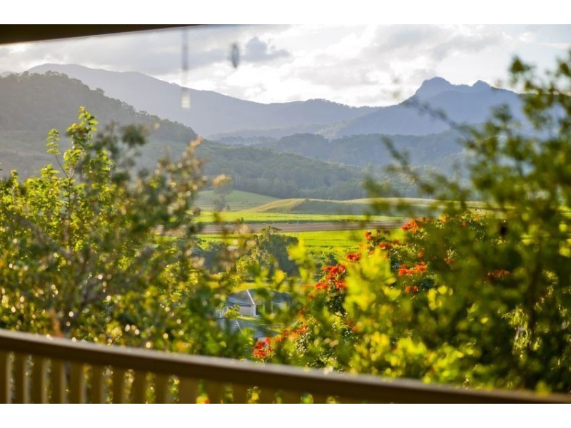 Murwillumbah NSW 2484