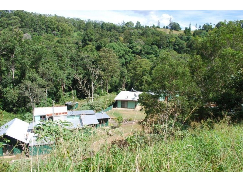 Commissioners Creek NSW 2484