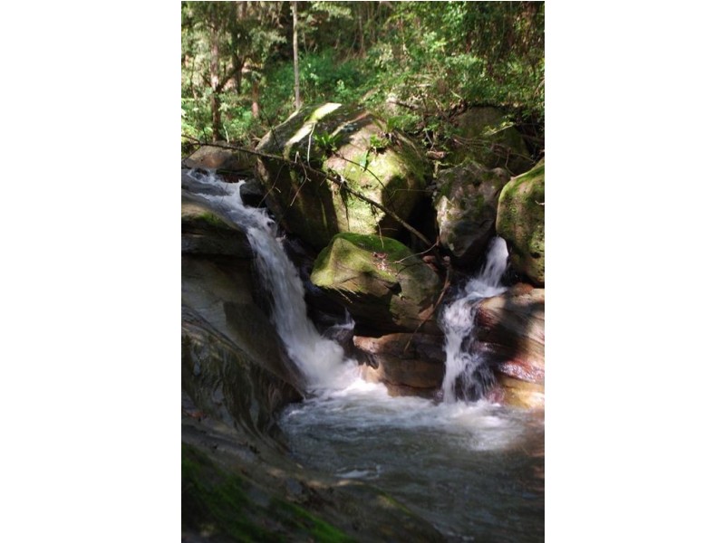 Commissioners Creek NSW 2484