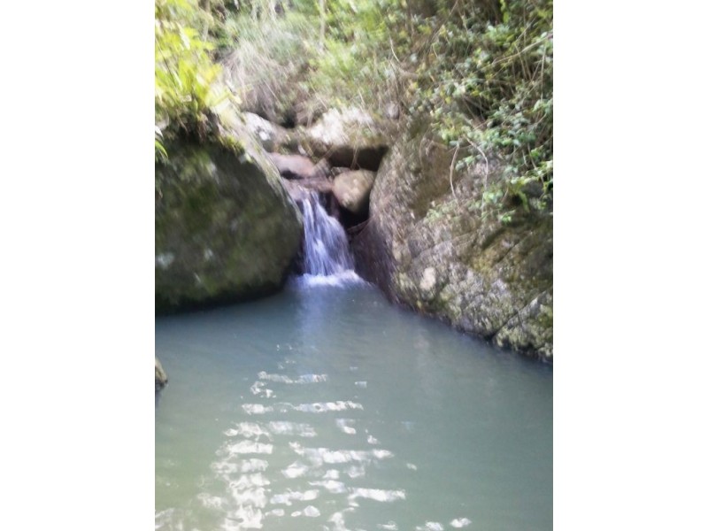 Commissioners Creek NSW 2484