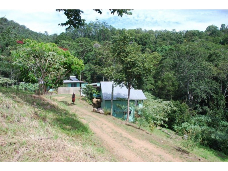 Commissioners Creek NSW 2484