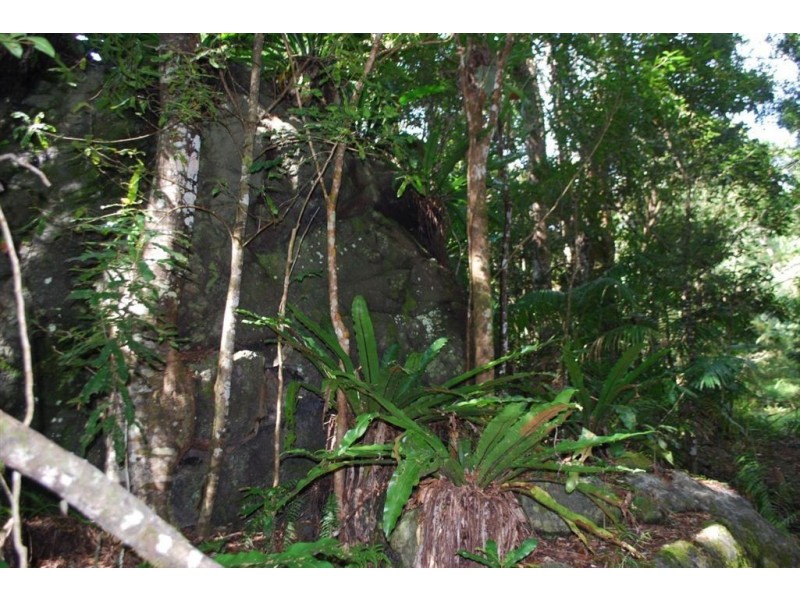 Commissioners Creek NSW 2484