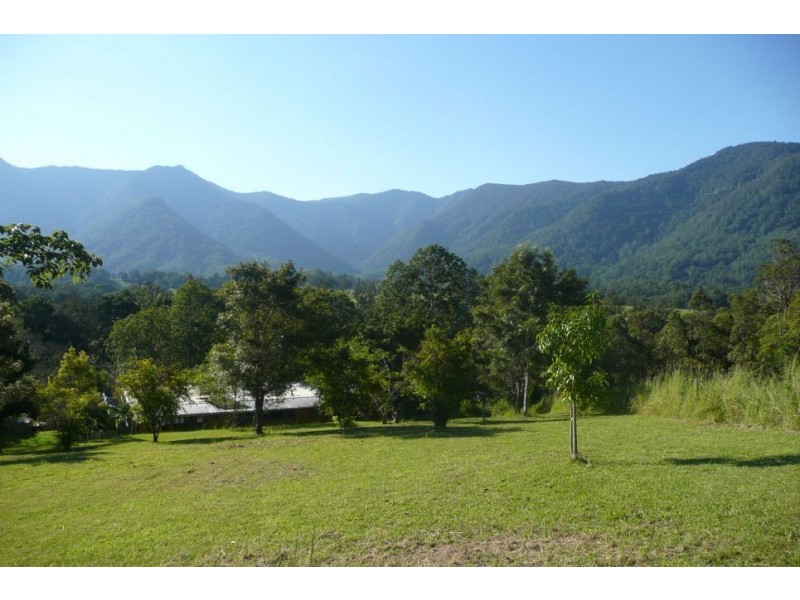 Tyalgum Creek NSW 2484
