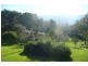Tyalgum Creek NSW 2484