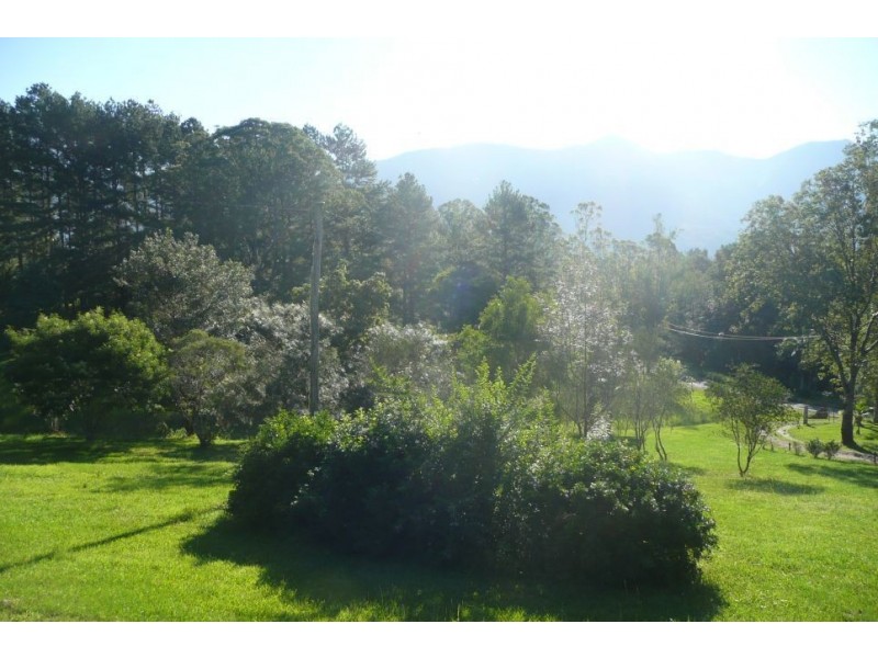 Tyalgum Creek NSW 2484