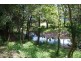 Tyalgum Creek NSW 2484