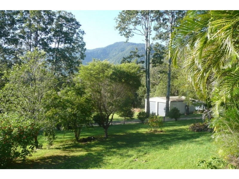 Tyalgum Creek NSW 2484