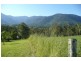 Tyalgum Creek NSW 2484