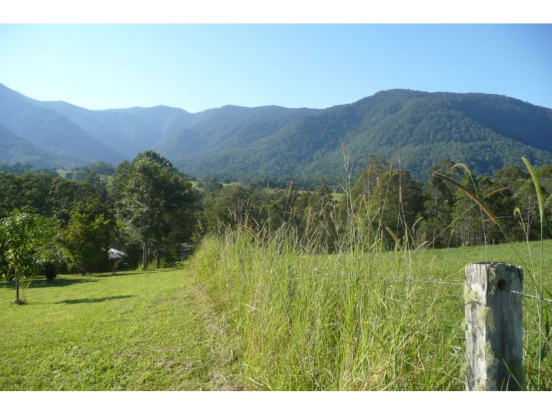 Tyalgum Creek NSW 2484