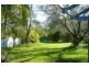 Tyalgum Creek NSW 2484