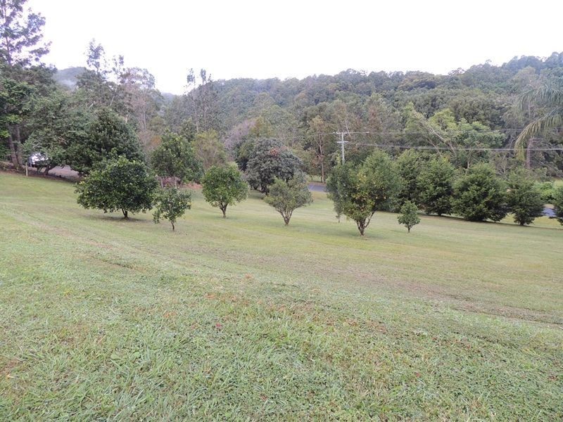 97 Glenock Road, Uki NSW 2484