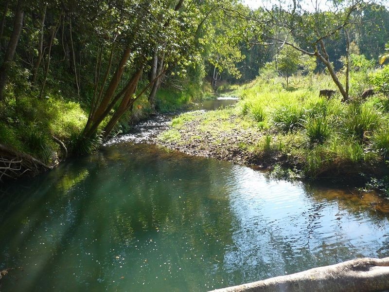 321 Burringbar Road, Burringbar NSW 2483