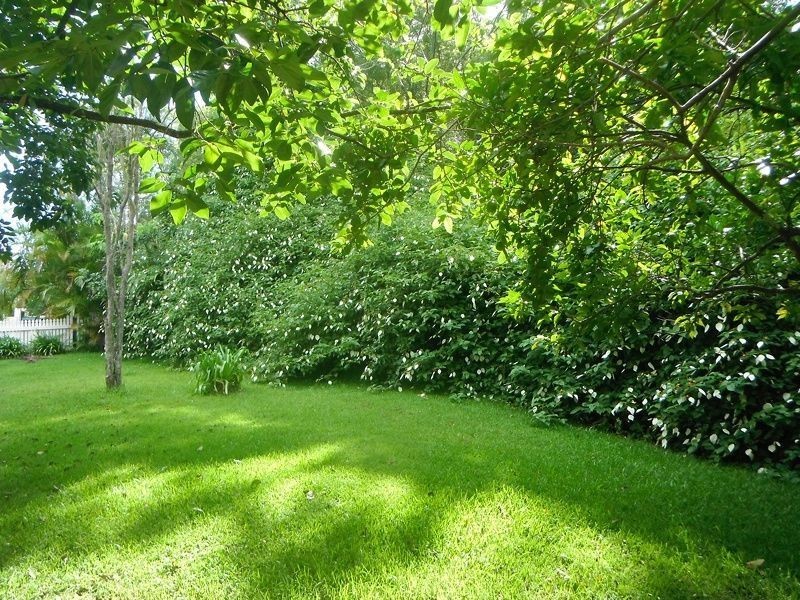 321 Burringbar Road, Burringbar NSW 2483