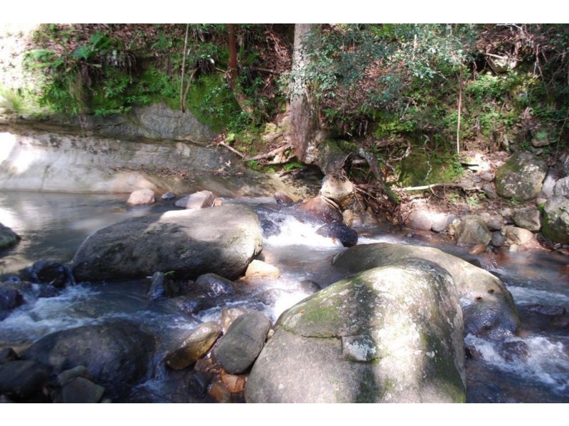 Commissioners Creek NSW 2484