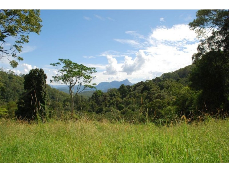 Commissioners Creek NSW 2484