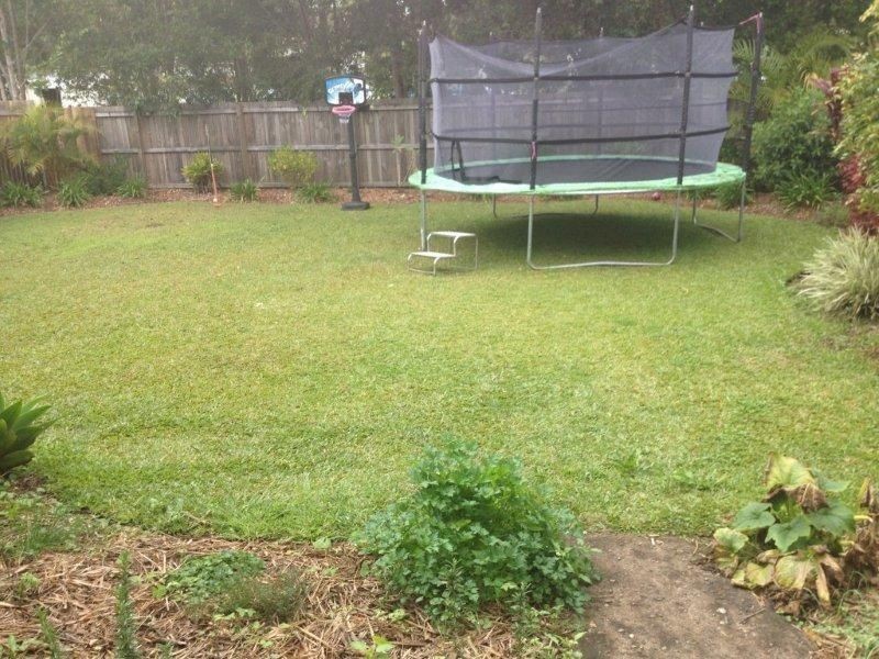 504 Tweed Valley Way, Murwillumbah NSW 2484