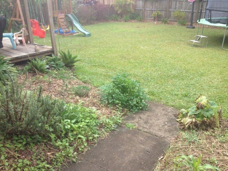 504 Tweed Valley Way, Murwillumbah NSW 2484