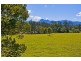 814 Numinbah Road, Crystal Creek NSW 2484