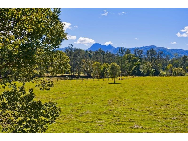 814 Numinbah Road, Crystal Creek NSW 2484