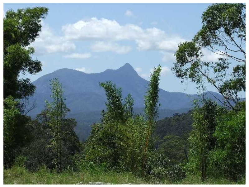 Mount Burrell NSW 2484