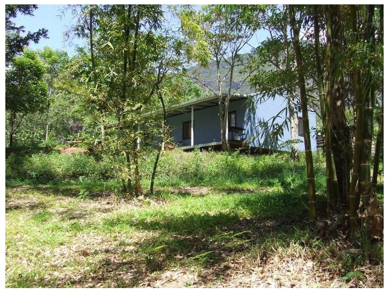 Mount Burrell NSW 2484