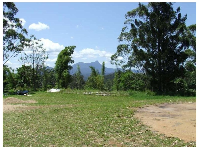 Mount Burrell NSW 2484