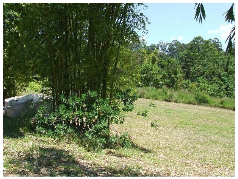 Mount Burrell NSW 2484