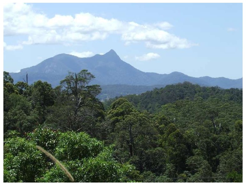 Mount Burrell NSW 2484