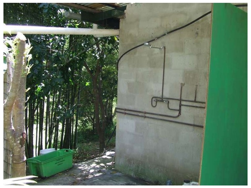 Mount Burrell NSW 2484