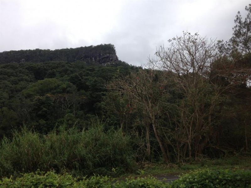 Murwillumbah NSW 2484