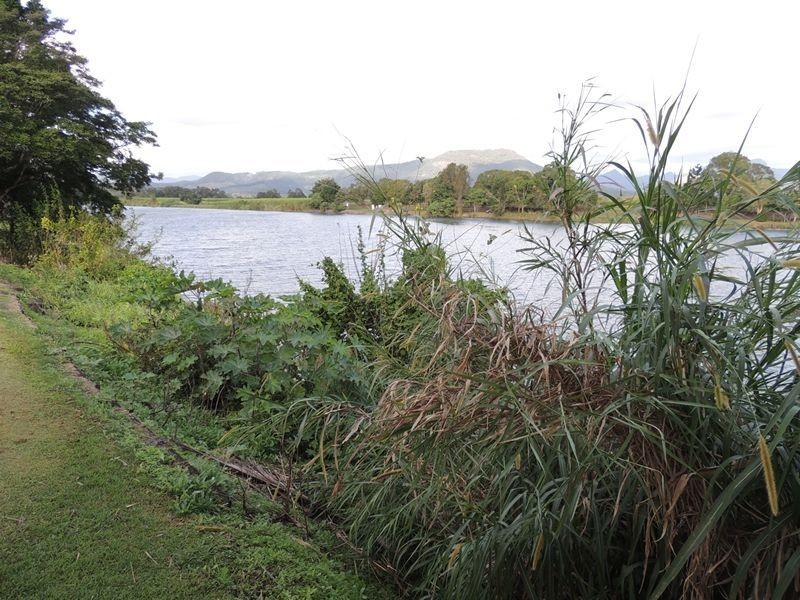 117 River Street, Murwillumbah NSW 2484