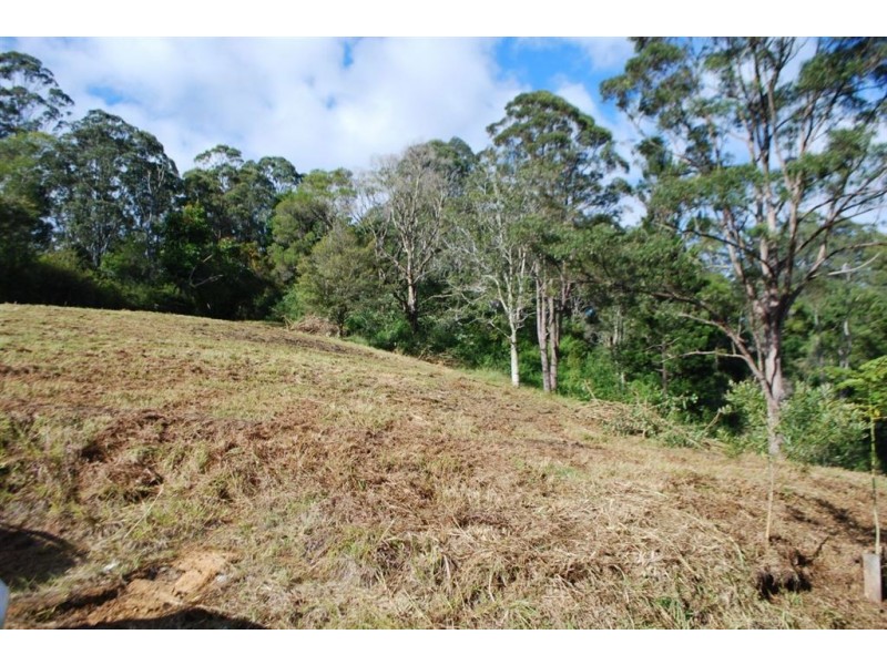 44 Nimbin rd, Mount Burrell NSW 2484