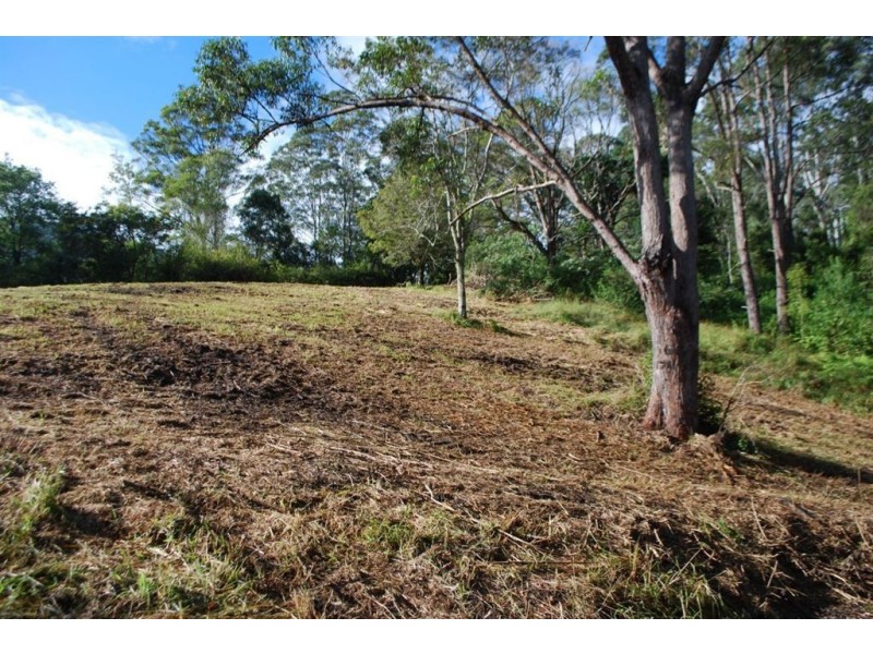 44 Nimbin rd, Mount Burrell NSW 2484