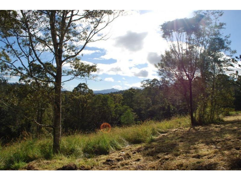 44 Nimbin rd, Mount Burrell NSW 2484