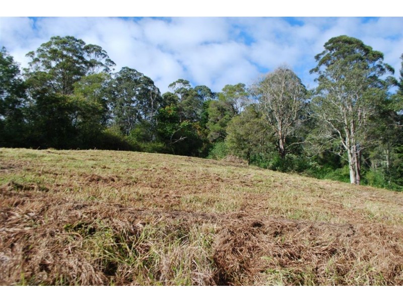 44 Nimbin rd, Mount Burrell NSW 2484