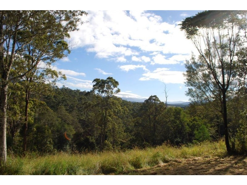 44 Nimbin rd, Mount Burrell NSW 2484