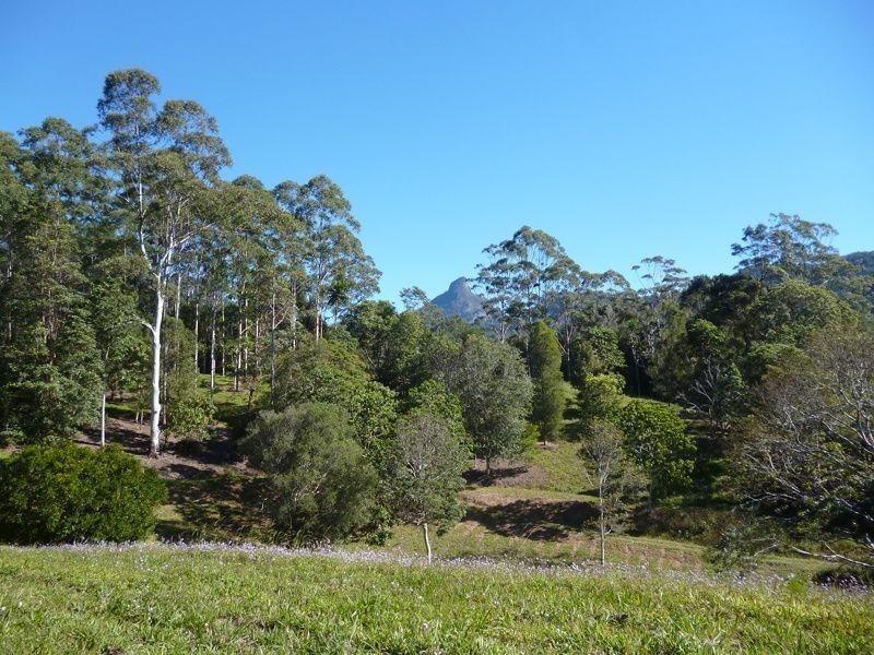 111 Mount Warning Road, Mount Warning NSW 2484