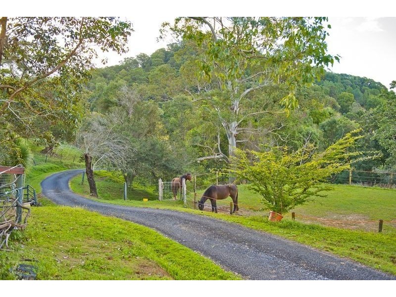 55 Glencoe Road, Murwillumbah NSW 2484