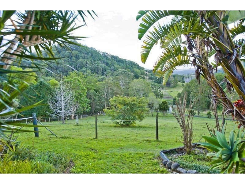 55 Glencoe Road, Murwillumbah NSW 2484