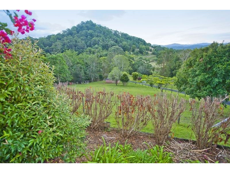 55 Glencoe Road, Murwillumbah NSW 2484